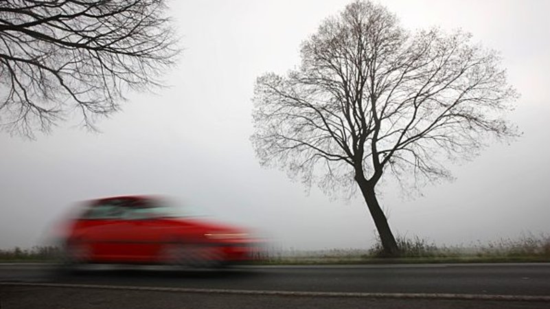 Rotes Auto fährt im dichten Nebel auf einer Landstraße