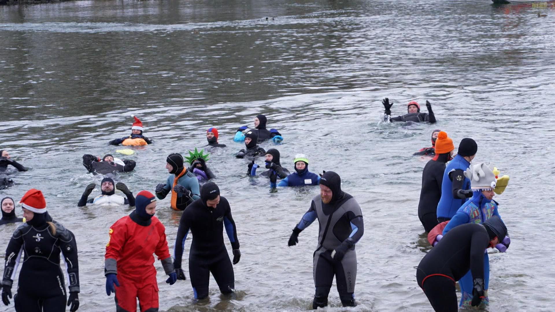 Drei-König-Schwimmer trotzen dem eiskalten Main | BR24