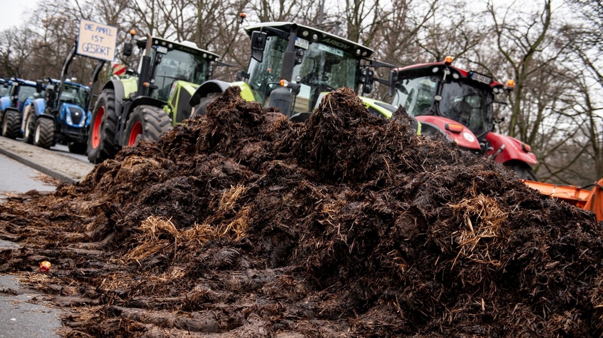 Welchen Einfluss hat die Landwirtschaft in Berlin?