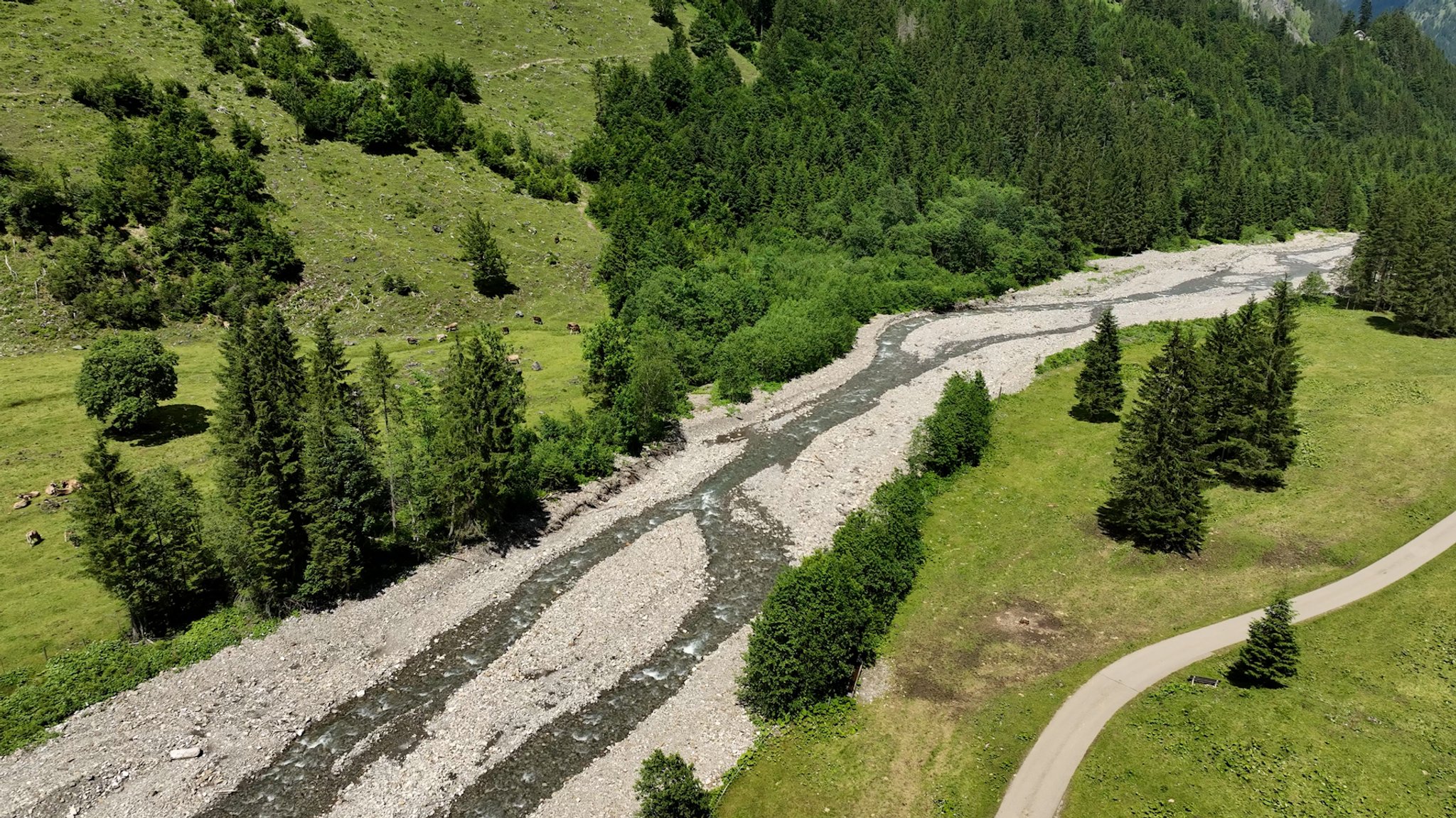 Der Rappenalpbach im Juli 2024