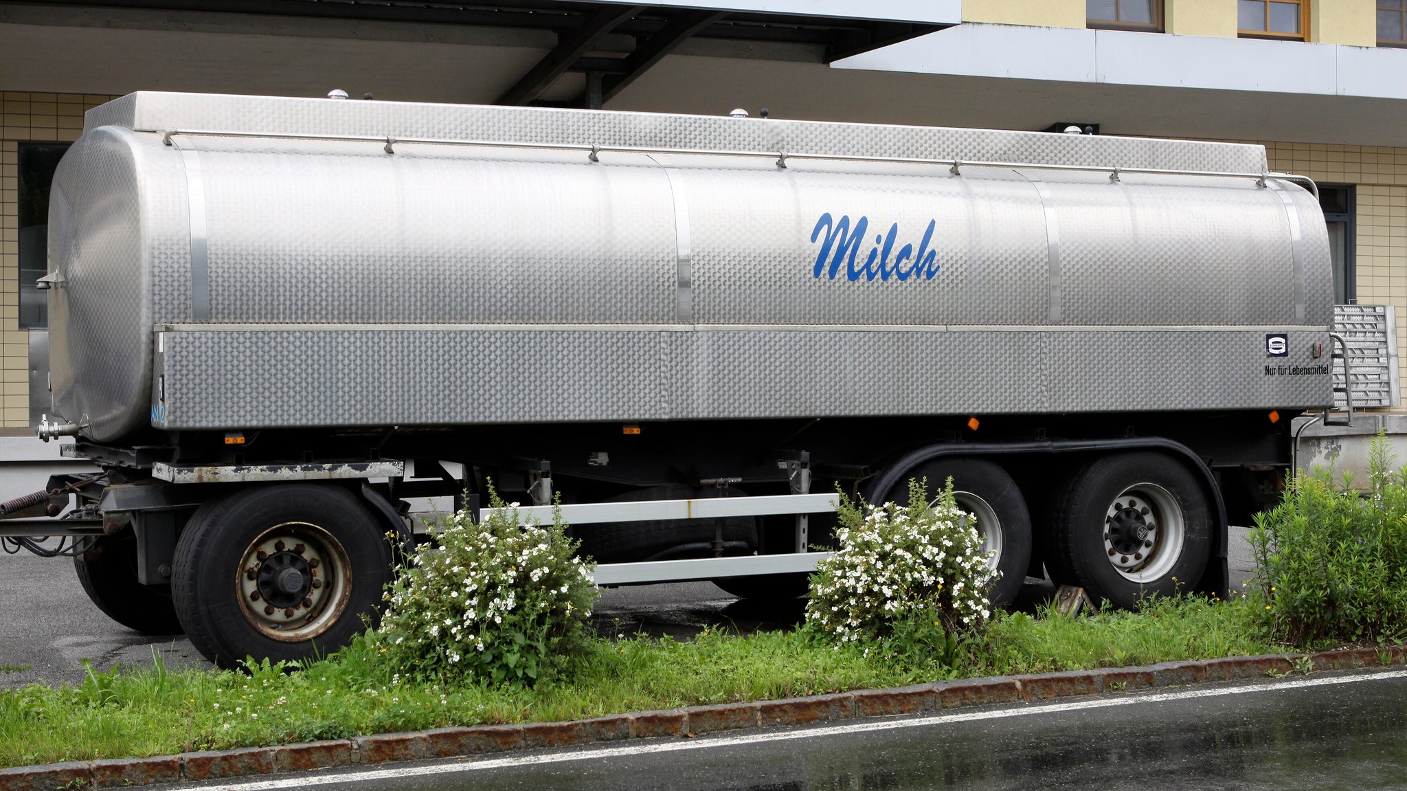 Ein Molkereiwagen mit der Aufschrift "Milch" steht auf einer Straße. | Bild: picture alliance/CHROMORANGE/Ernst Weingartner Ein Molkereiwagen mit der Aufschrift "Milch" steht auf einer Straße.