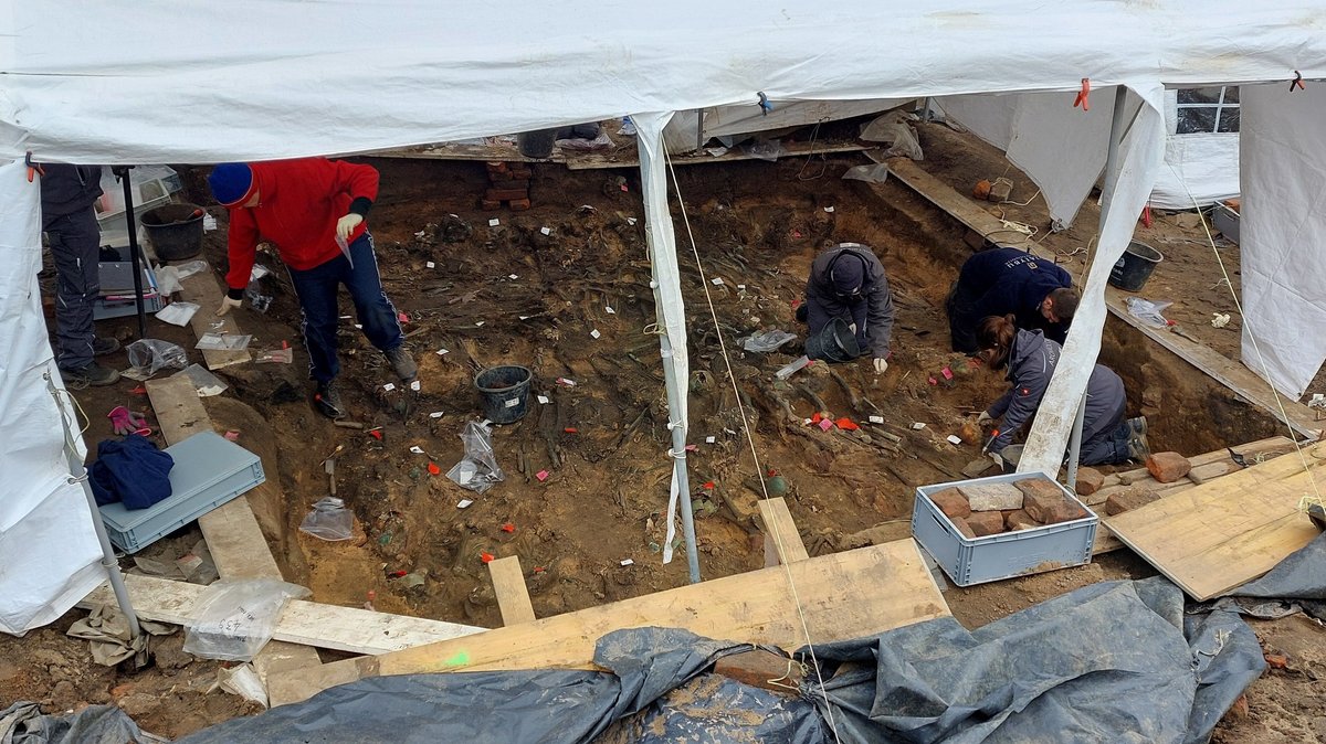 Archäologen bei Ausgrabungen zwischen Knochen.