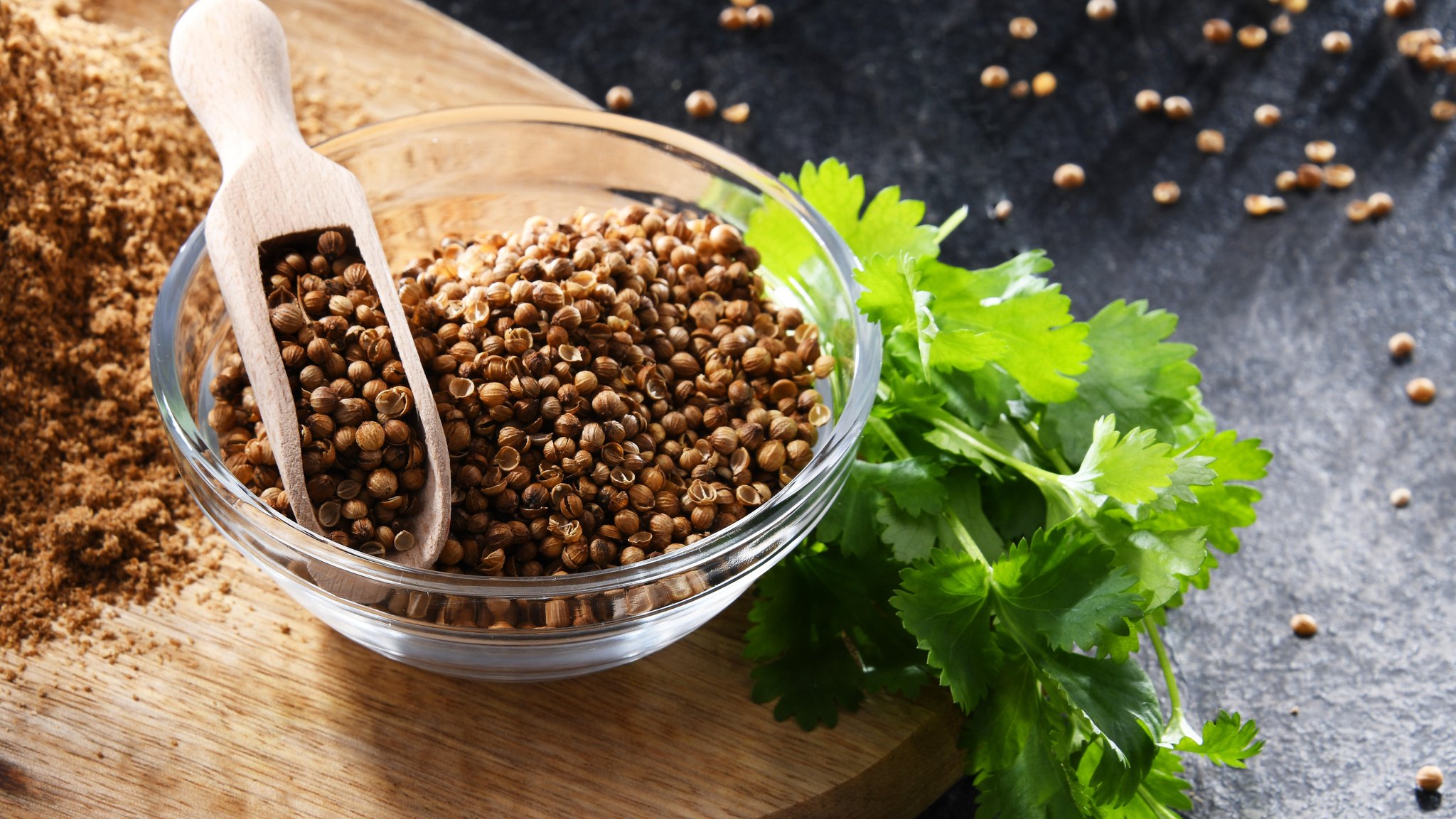 Eine Schüssel mit Koriandersamen, daneben ein Bund frischen Korianders