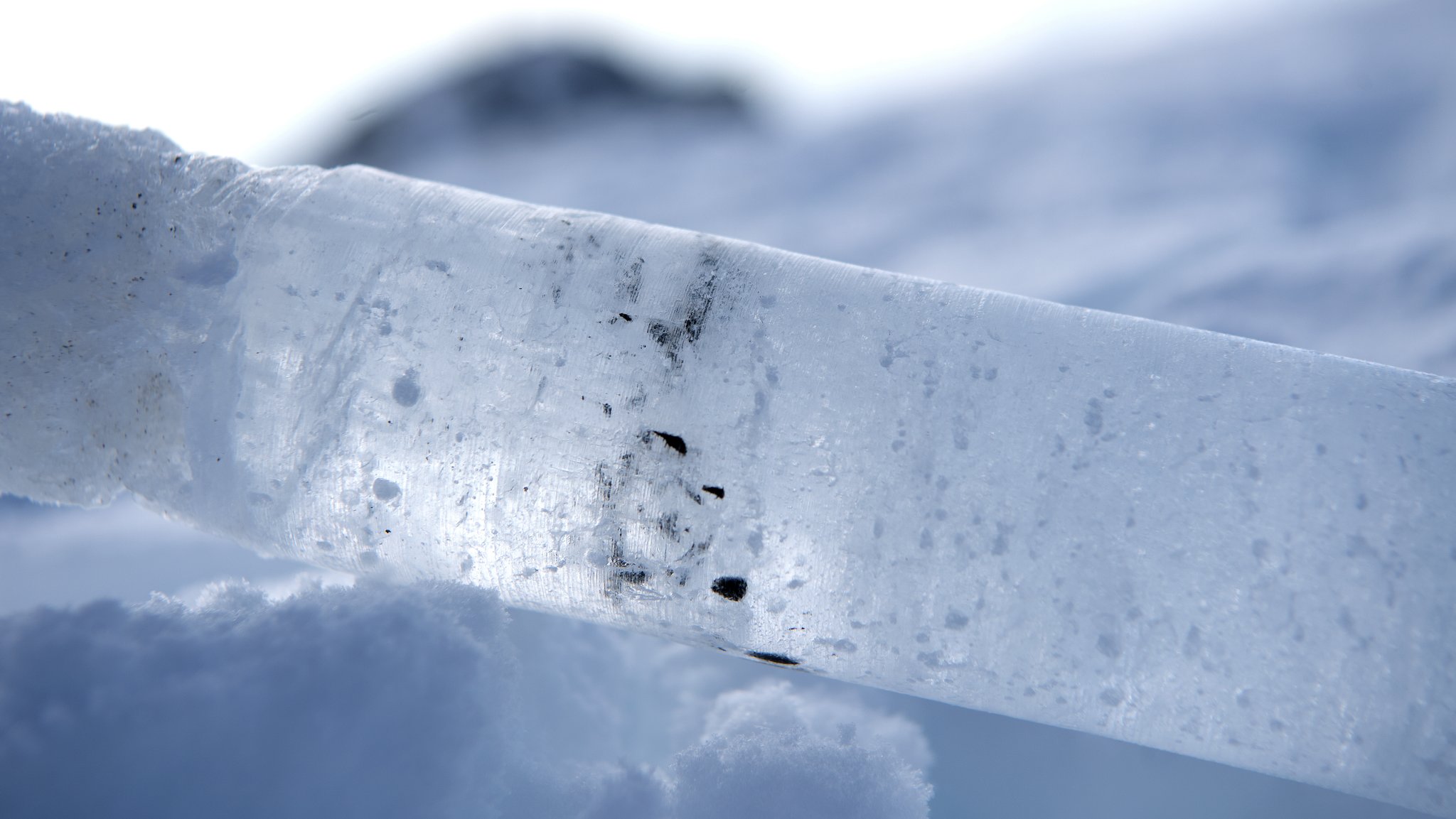 Eisbohrkern vor Schnee