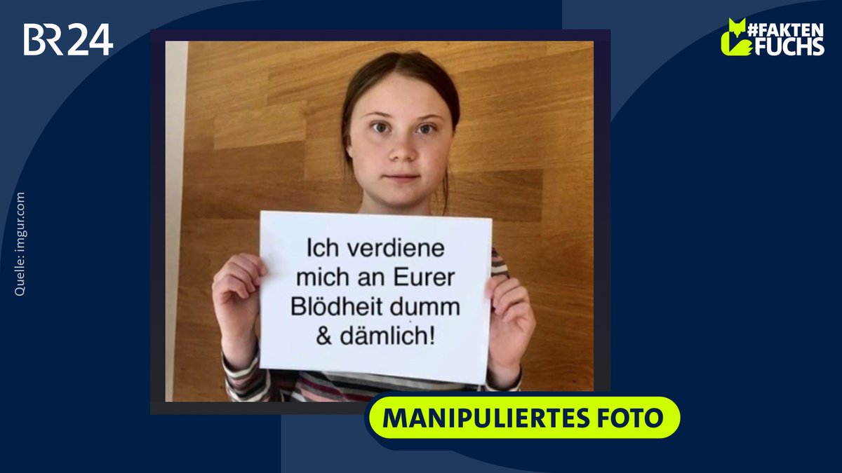 Ein manipuliertes Bild von Greta Thunberg, das sehr häufig geteilt wurde.
