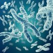 Chromosomen - Bausteine des Lebens | Bild: colourbox.com