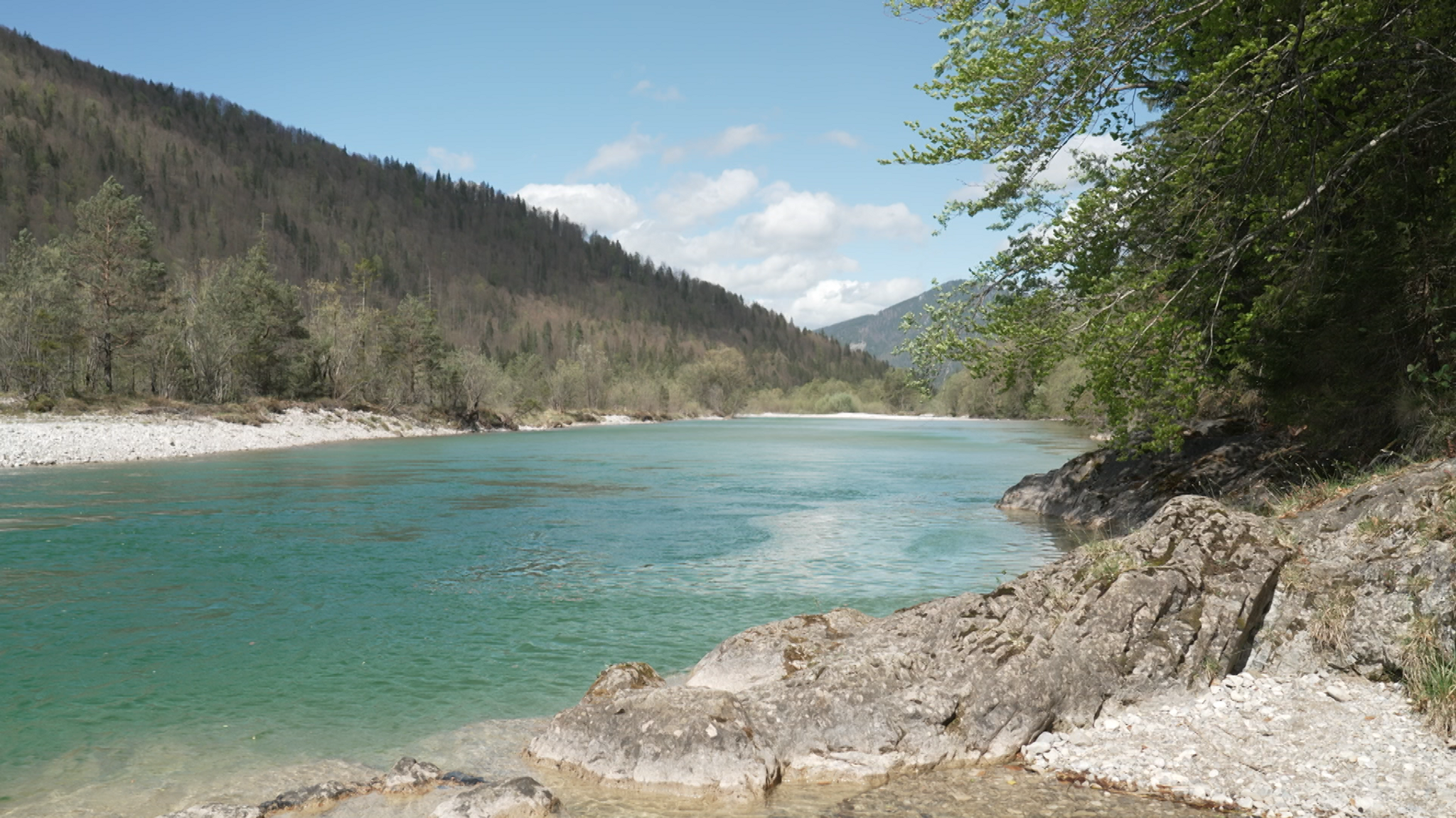 Am felsigen Isarufer, der Fluss klar türkis gefärbt. Ein sonniger Tag, drumherum Bäume.