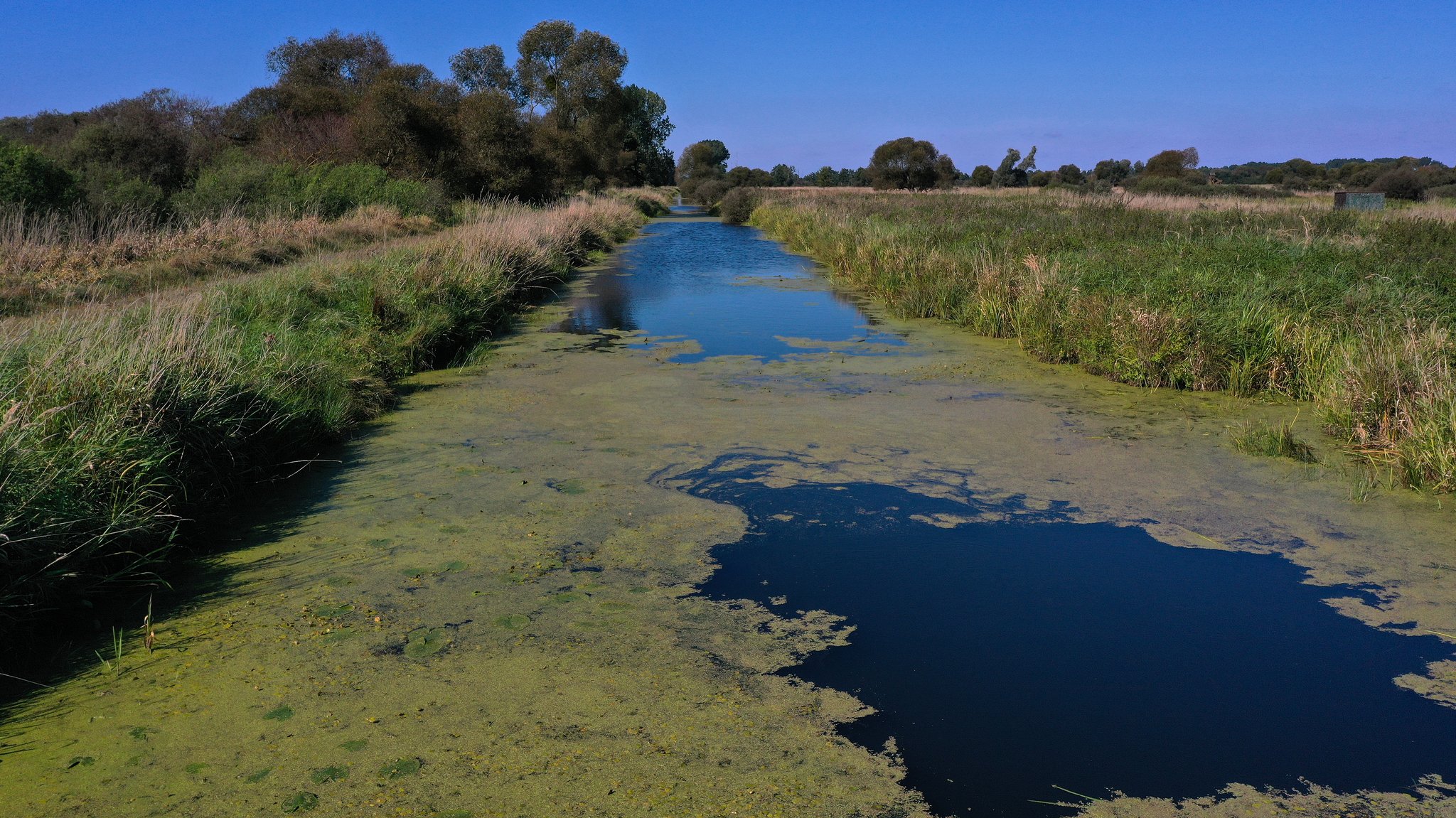 Das Unesco-Biosphärenreservat Drömling in Sachsen-Anhalt und Niedersachsen. Vor etwa 15 Jahren hat die Wiedervernässung des Moores begonnen. 