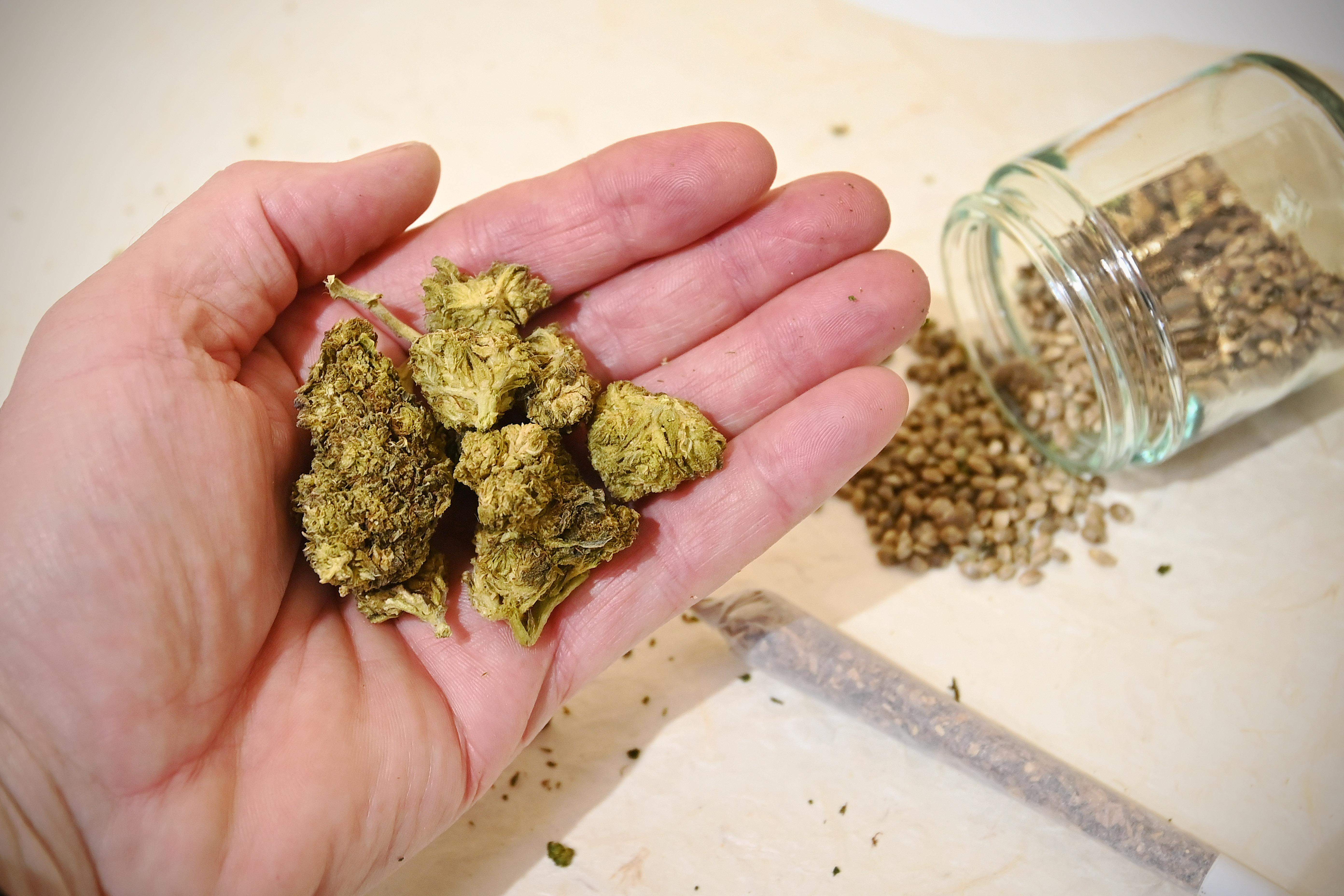 Themenbild Cannabis-Legalisierung