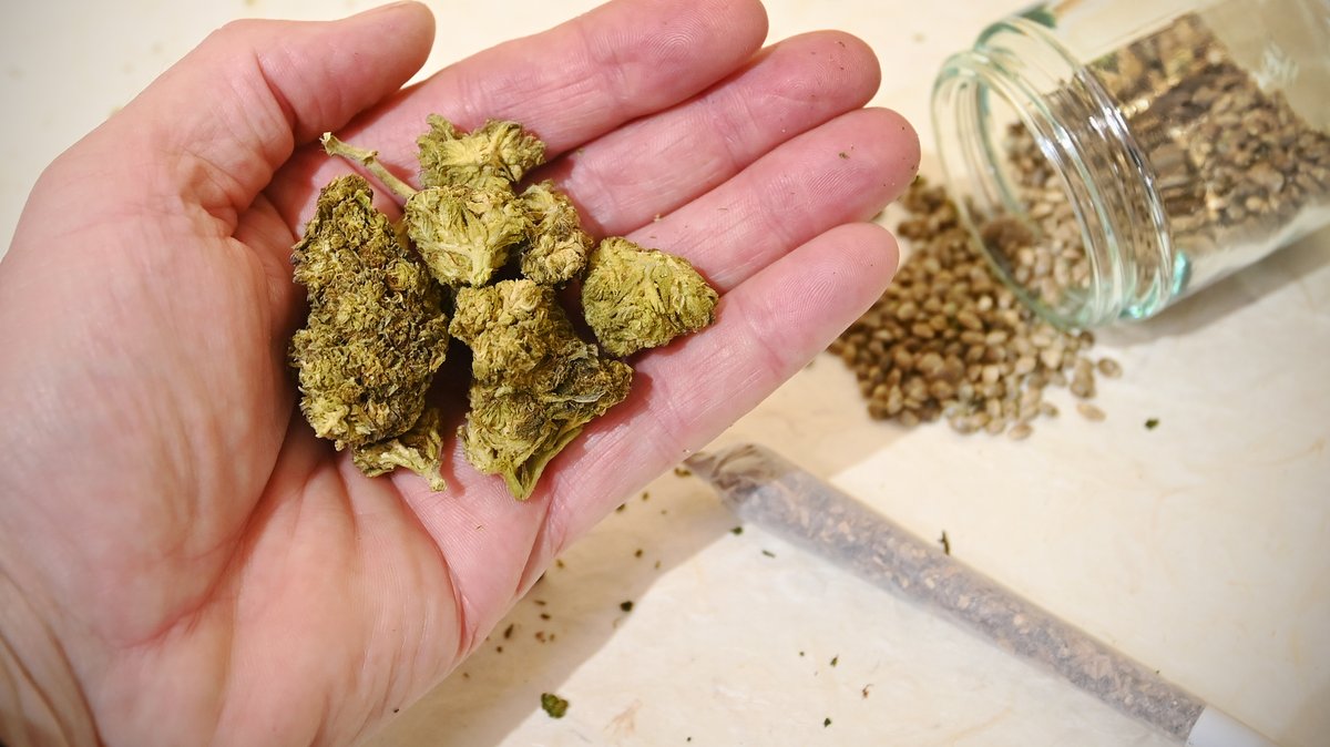Themenbild Cannabis-Legalisierung