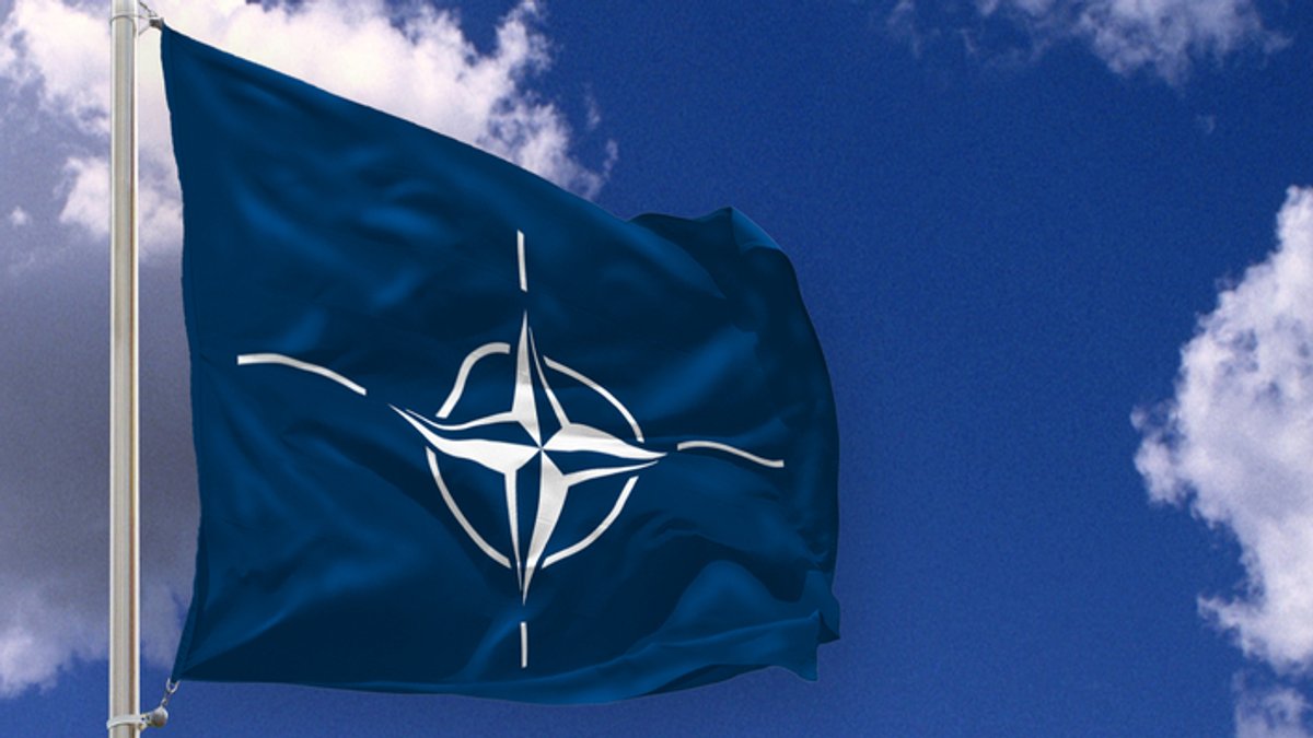 Krisen-Expertin Babst: Ukraine in die Nato aufnehmen
