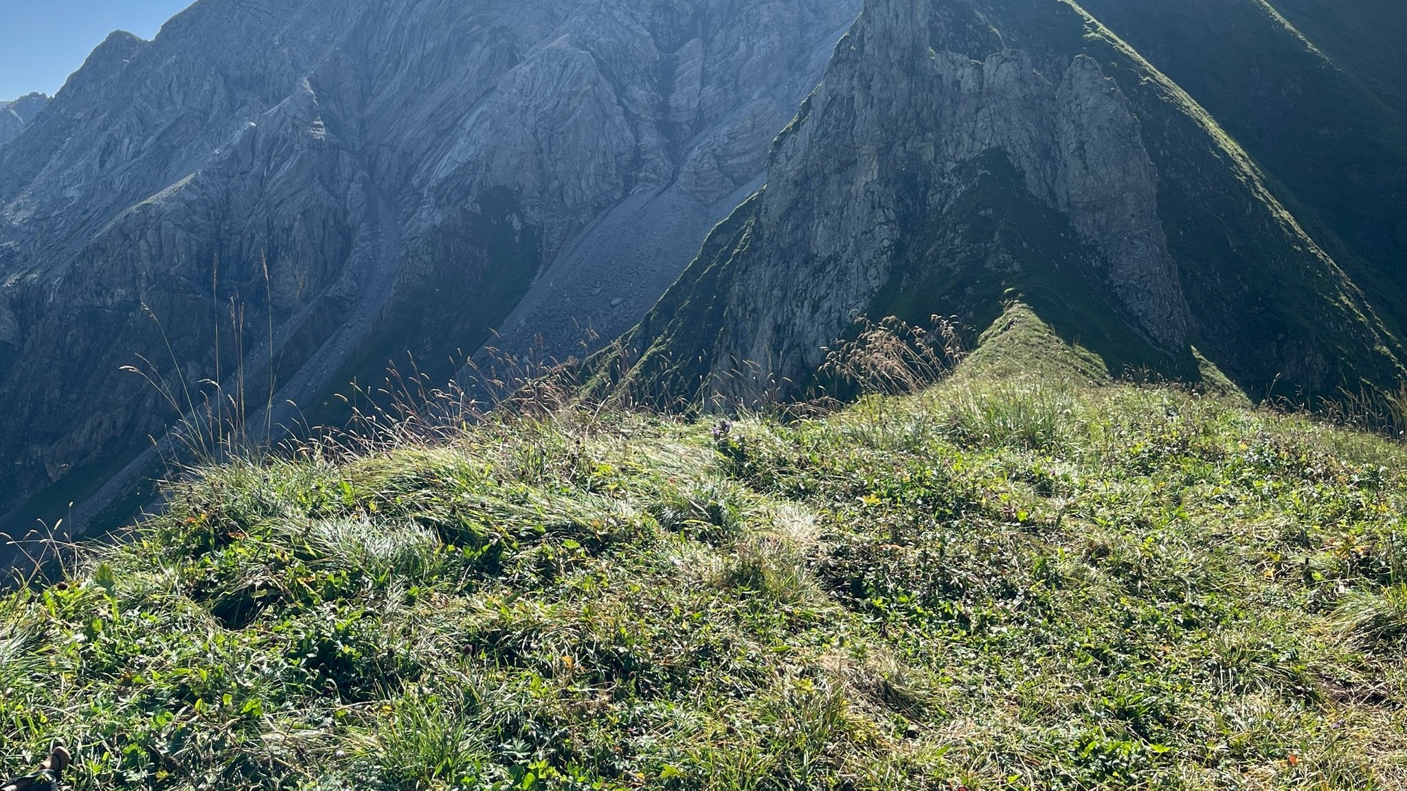 Bären-Skulptur aus dem Allgäu wieder verschwunden