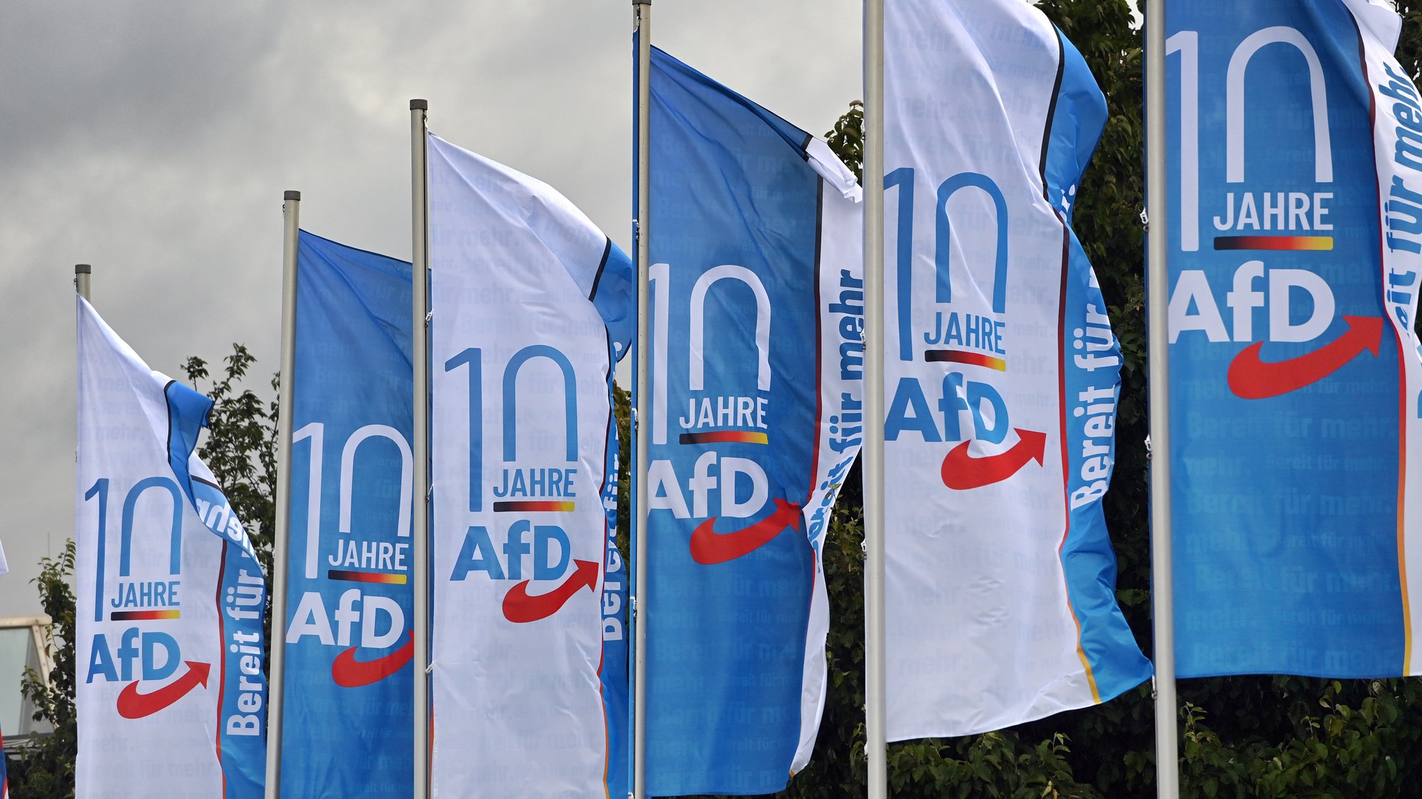 AfD-Fahnen (Symbolbild)