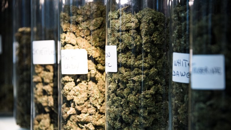In Gläser abgefülltes medizinisches Cannabis