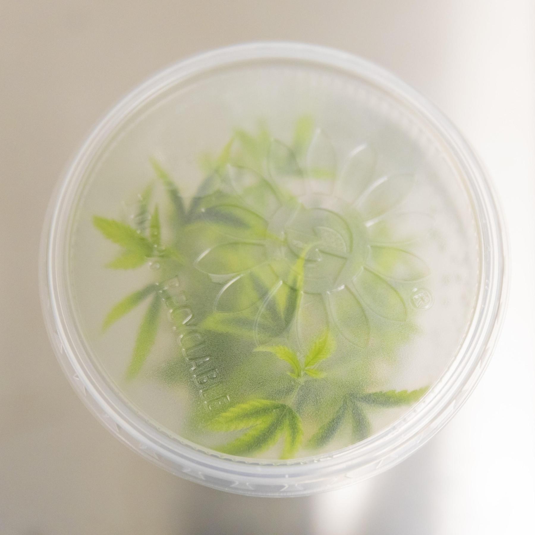 Cannabis: wichtiges Medikament und dubioser Onlinehandel episode artwork