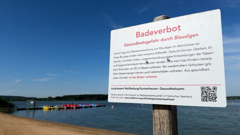 Immer wieder war der Altmühlsee in den Schlagzeilen: Blaualgen. | Bild: BR Immer wieder war der Altmühlsee in den Schlagzeilen: Blaualgen.