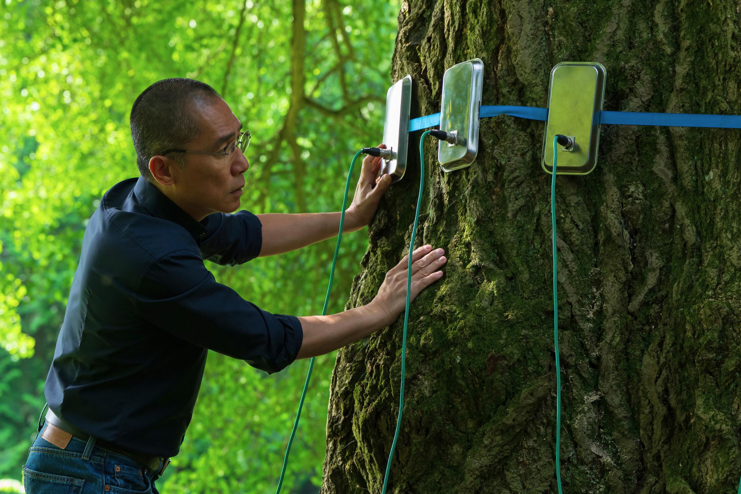 Was erzählen uns Bäume? Szene aus dem Film "Silent Friends" von Ildikó Enyedi