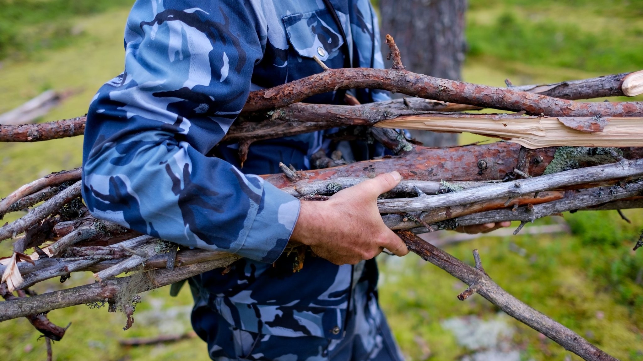 Holz sammeln im Wald: Was ist erlaubt, was ist verboten?