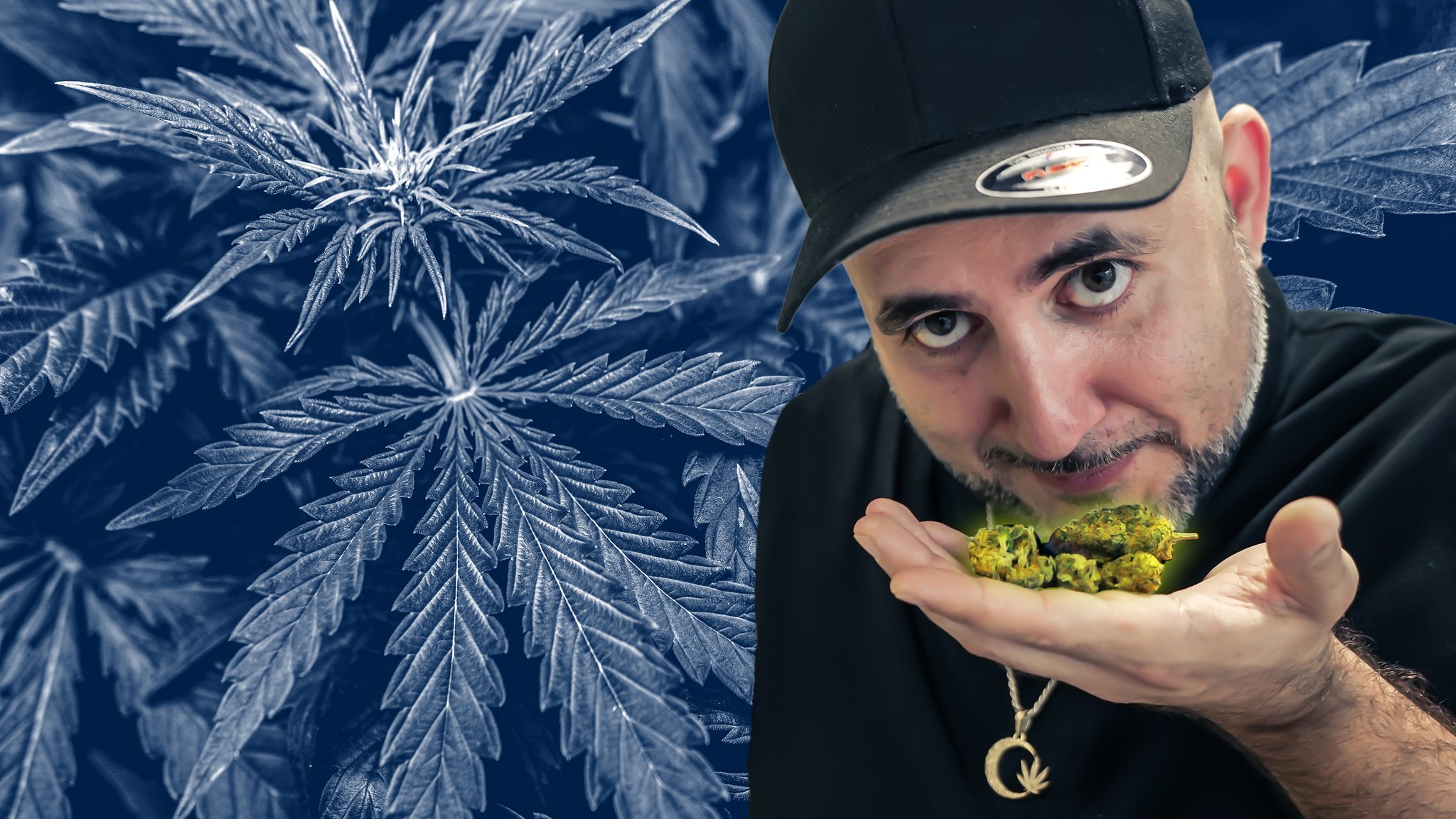 Atilla Idil vor Cannabisblättern im Hintergrund