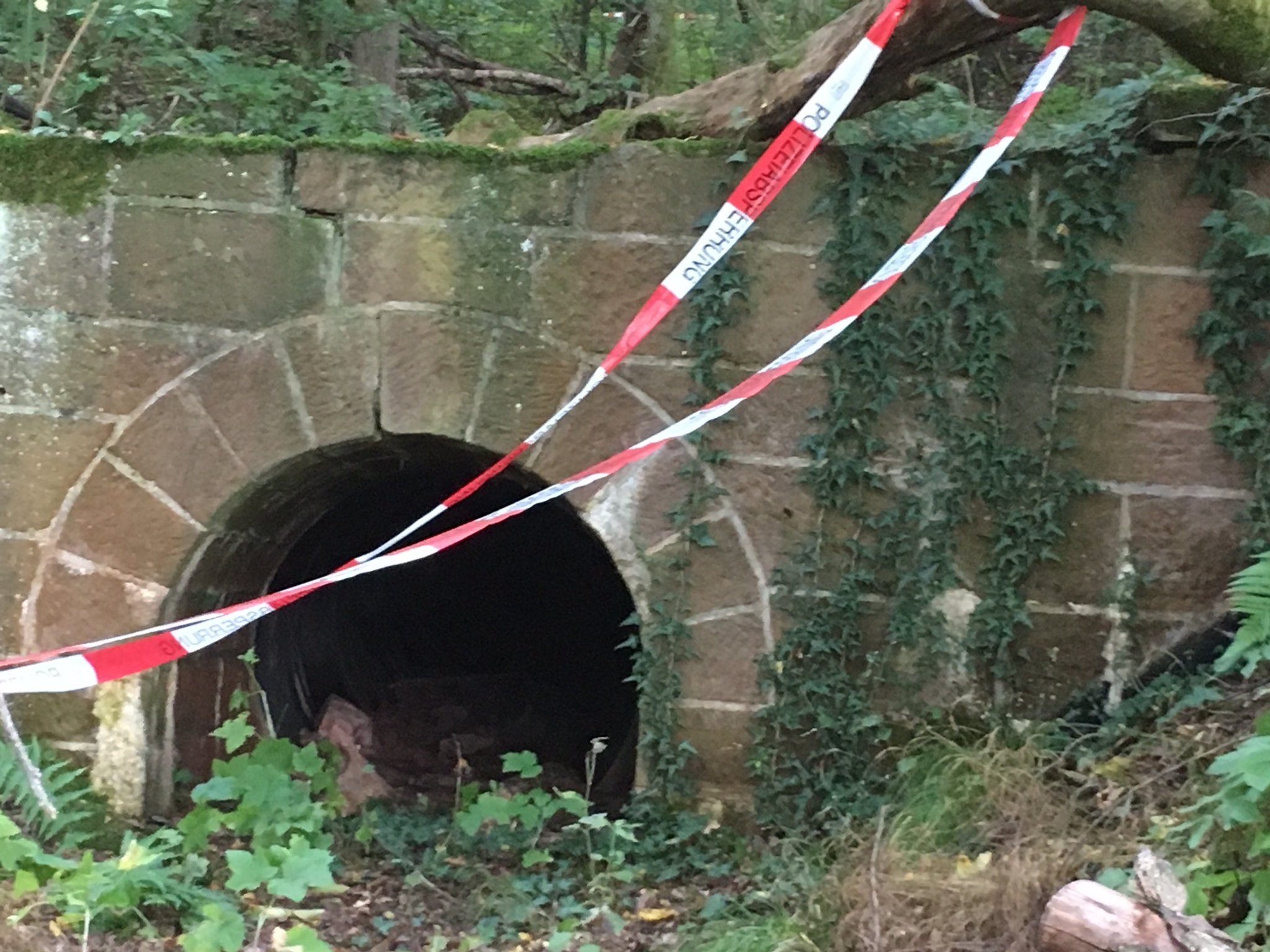 Geocacher finden menschliches Skelett in Gräfendorf