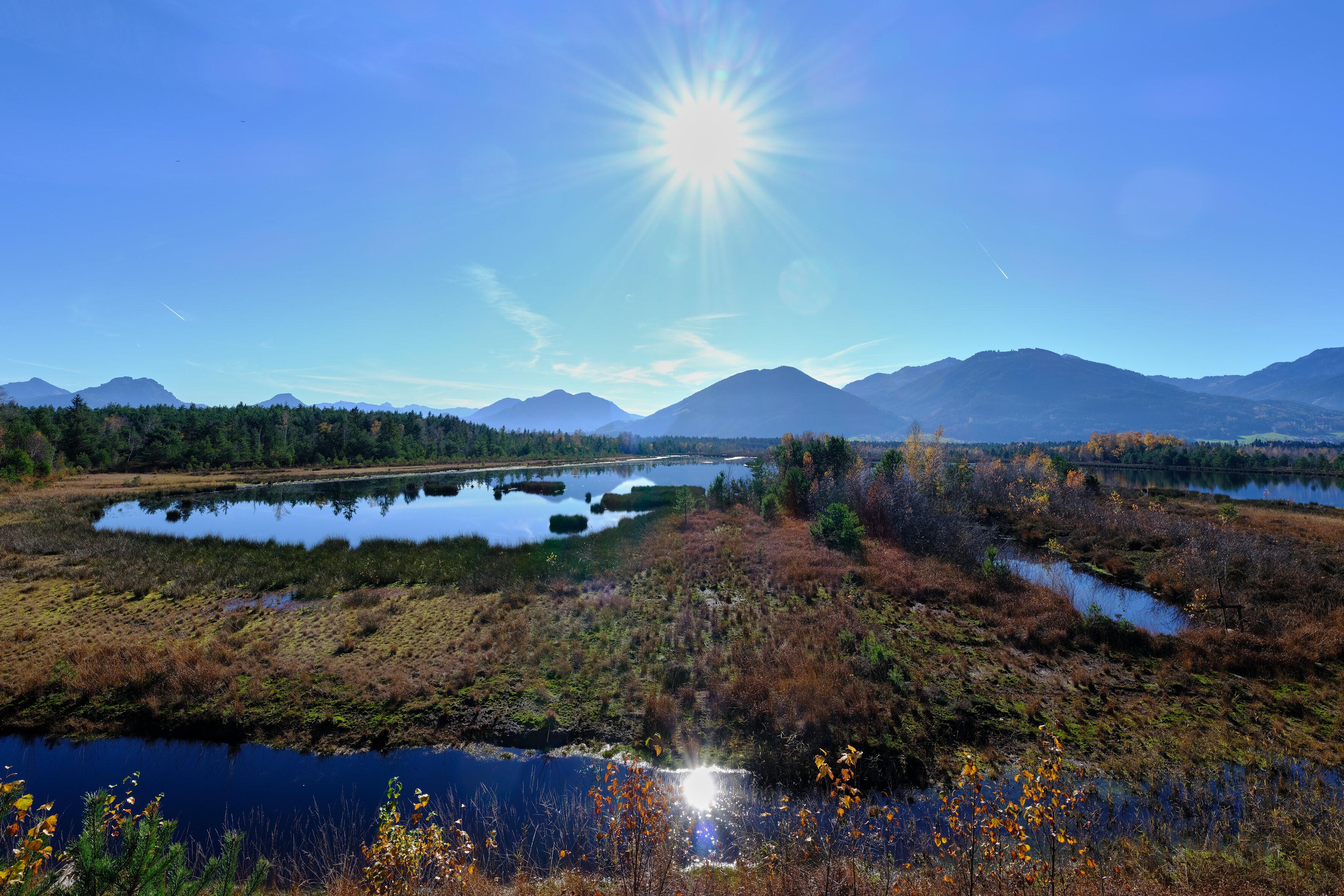 Raubling, Deutschland 05.11.2025: Im Bild: Sonnenlicht über der Nicklheimer Filze bei Raubling im Landkreis Rosenheim.