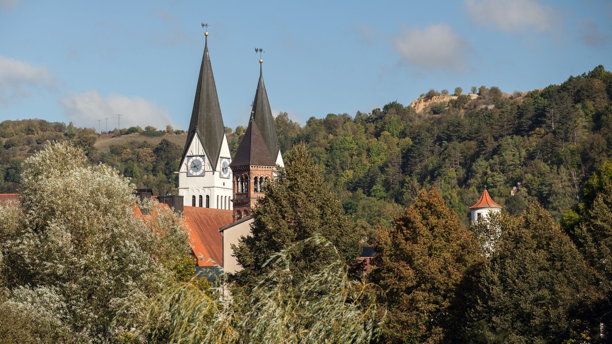 Eichstätter Dom zwischen Bäumen. 