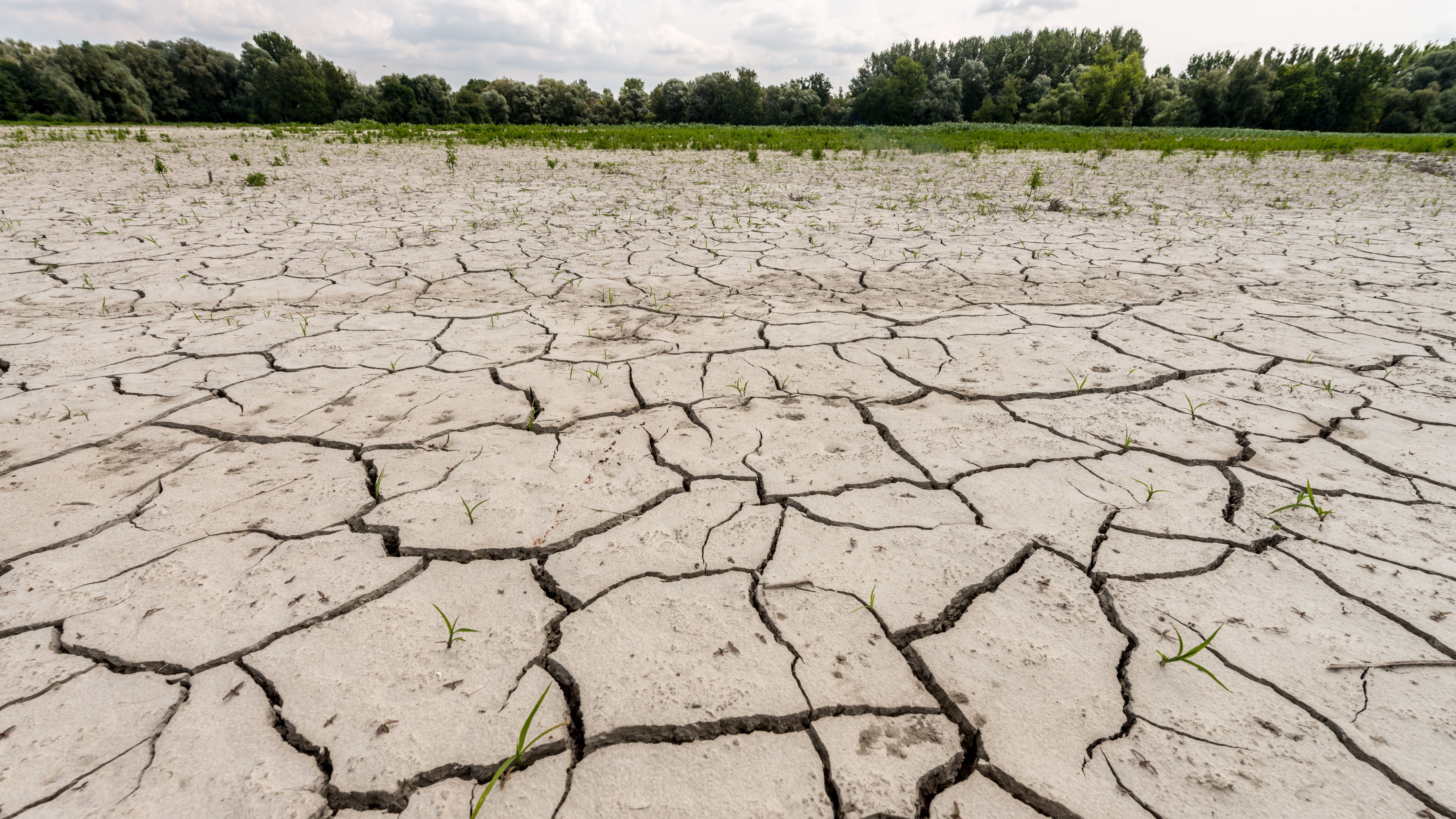 Bayern und der Klimawandel: Das Problem mit dem Wasser - Vimarsana News