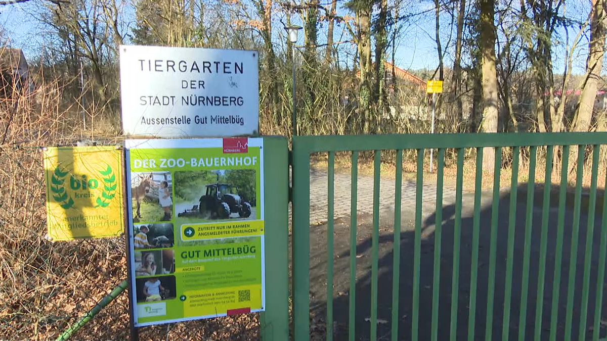 Vogelgrippe-Verdacht: Tiergarten Nürnberg geschlossen