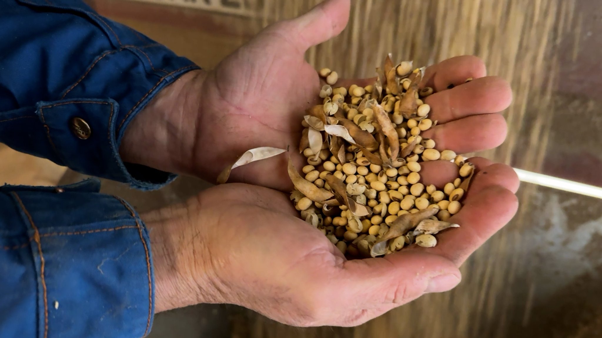 Landwirt Werner Bernreuther ist Pionier im Soja-Anbau. Er sieht große Chancen für Soja, befürchtet aber Nachteile durch den Regenwald-Schutz.