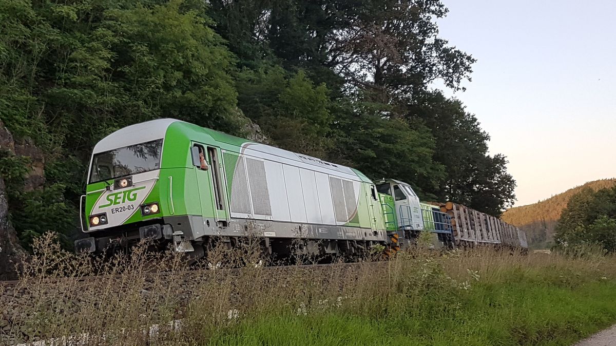 Beinahe ungebremst rast ein mit Holz beladener Güterzug durch die Oberpfalz | Bild: © BR/Josef Schießl Beinahe ungebremst rast ein mit Holz beladener Güterzug durch die Oberpfalz