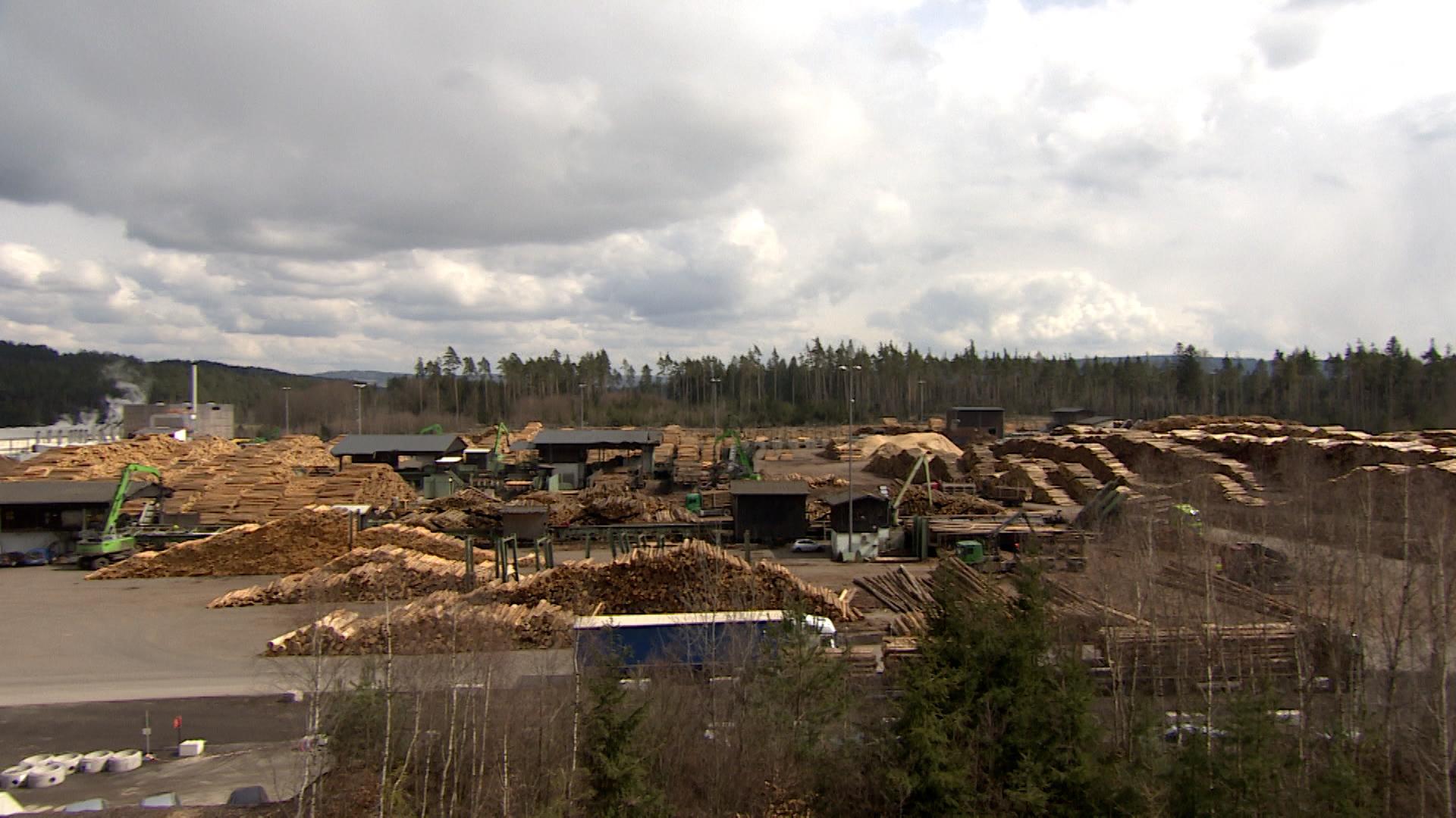 Ziegler-Sägewerk in der Oberpfalz