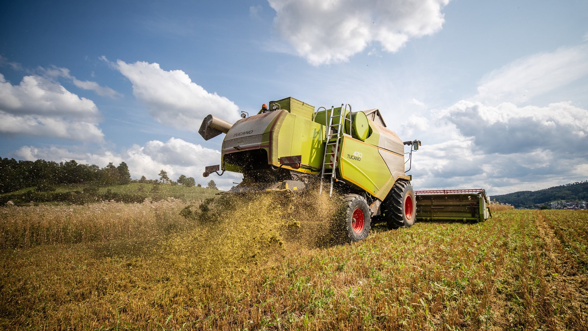 Ein Landwirt fährt bei der Getreideernte mit seinem Mähdrescher über ein Feld. 