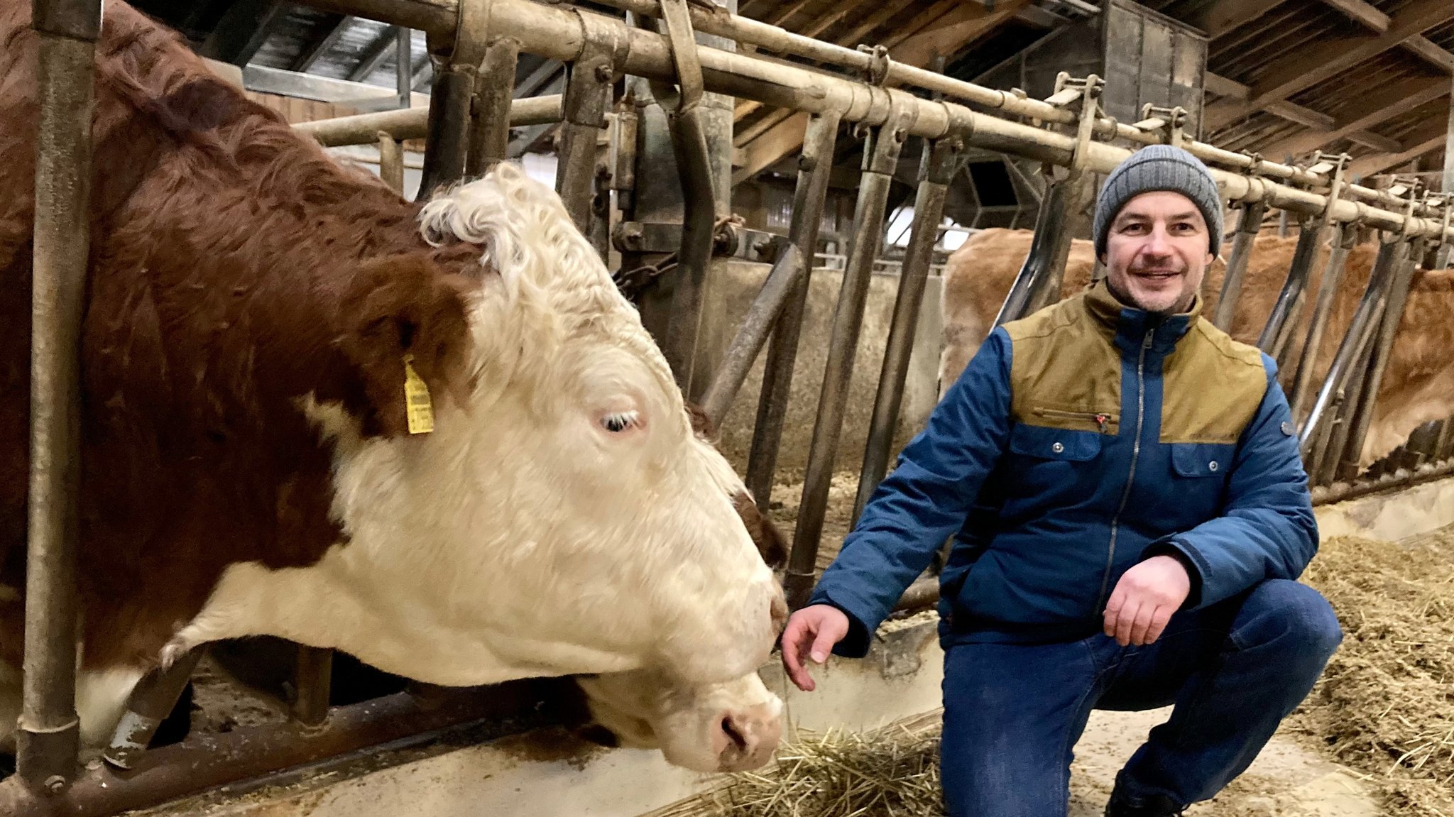 Landwirt Stefan Pletl mit seinen Rindern auf dem Huberhof in Regen.