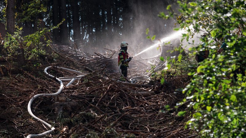 13.6.2023: Eine Einsatzkraft der Feuerwehr löscht den Waldboden. Mehrere Hektar eines Waldgebiets an der Grenze von Bayern und Thüringen sind in Brand geraten.