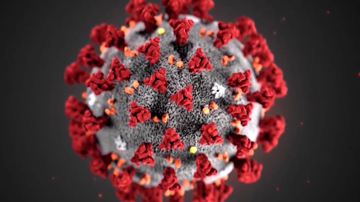 Symbolbild: Corona-Virus