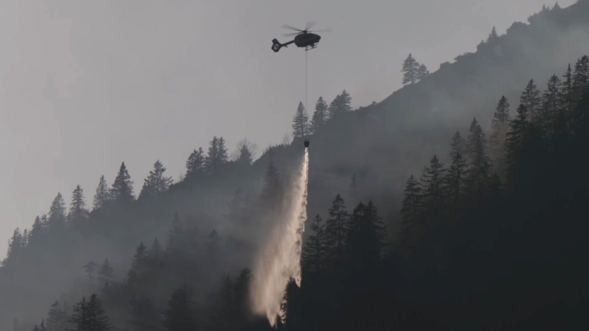 Ein Löschhubschrauber lässt am 7.3.2025 Wasser über dem Bergwald auf der Heißenplatte ab.