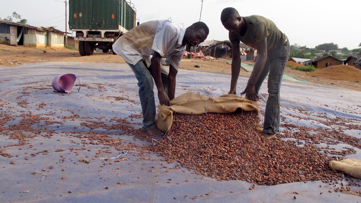 Zwei Männer schütten am im März 2017 in San-Pedro (Elfenbeinküste) Kakao-Bohnen aus, um sie zu trocknen (Symbolbild).
