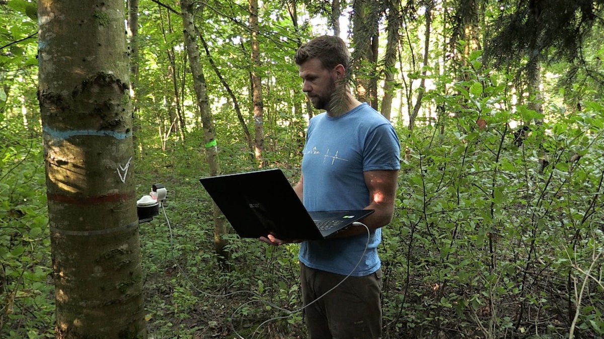 Dominik Landerer vom Forstamt Landsberg am Lech steht mit einem Laptop vor einem Baumstamm und wertet die Daten eines Dendrometers aus, welches das Wachstum des Baumes dokumentiert.
