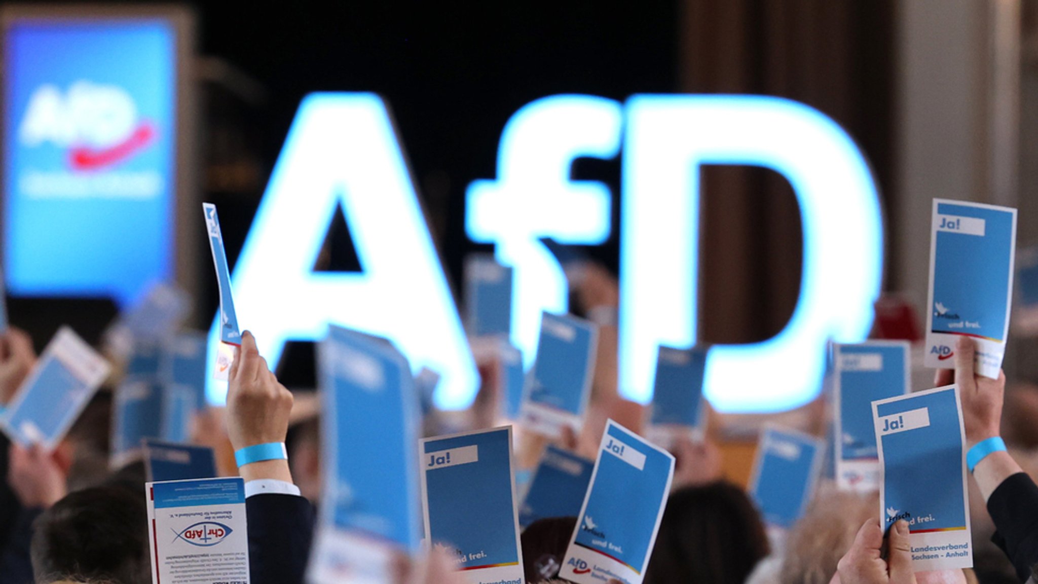 Delegierte stimmen auf dem Landesparteitag der AfD Sachsen-Anhalt in Magdeburg ab