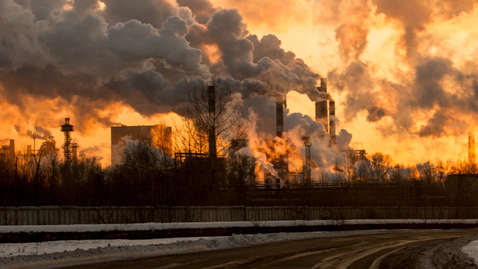 CO2-Entnahme aus der Luft - welche Möglichkeiten es gibt | BR24