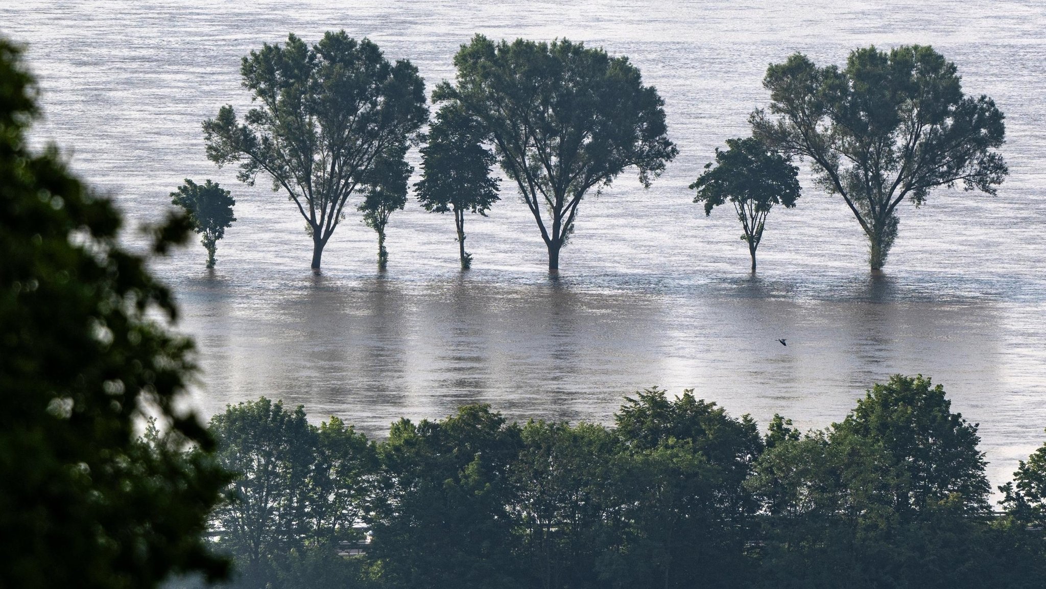 Hochwasser in Bayern - so ist die aktuelle Lage