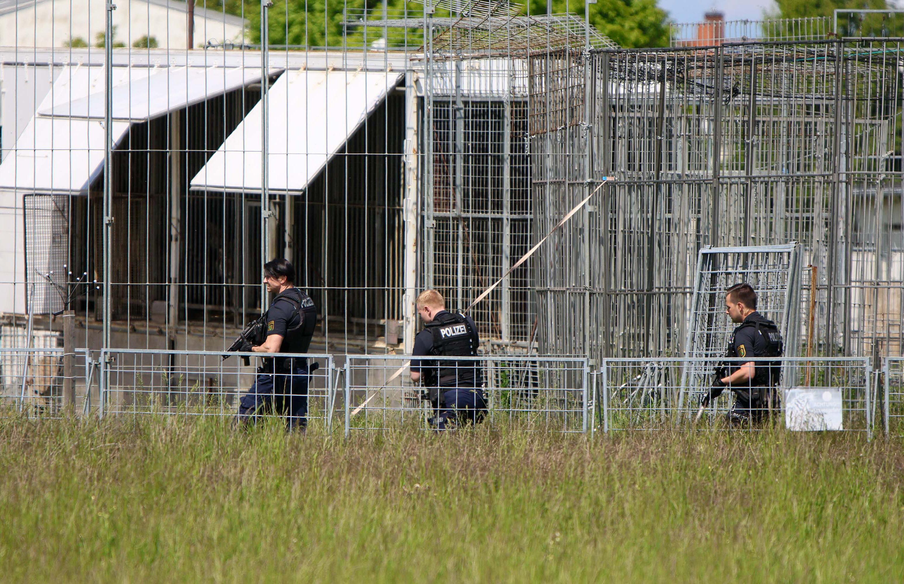 Schwer bewaffnete Polizisten sind in einem Gewerbegebiet bei Leipzig an einer Käfig-Anlage für Raubkatzen im Einsatz.