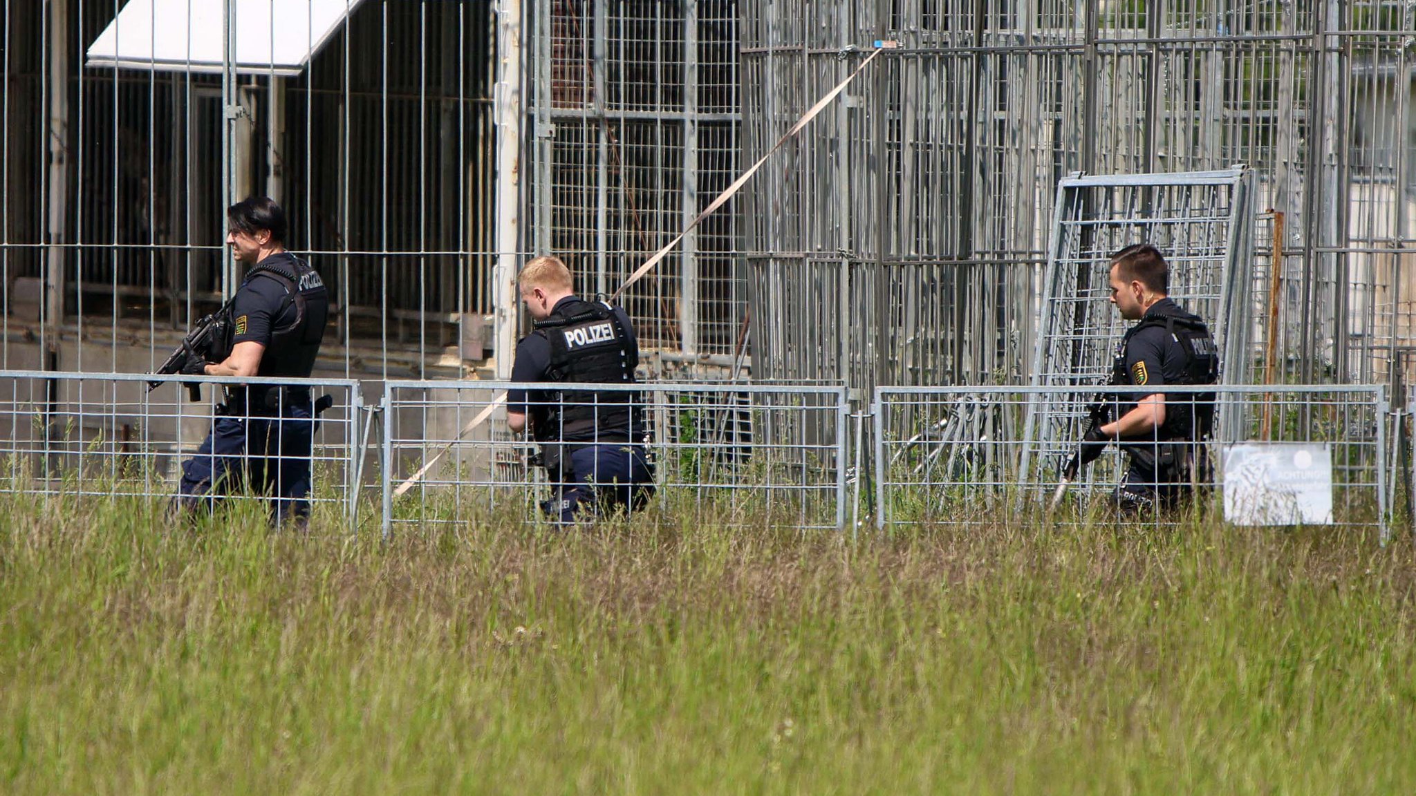 Tiger bei Leipzig ausgebrochen – Mann schwer verletzt