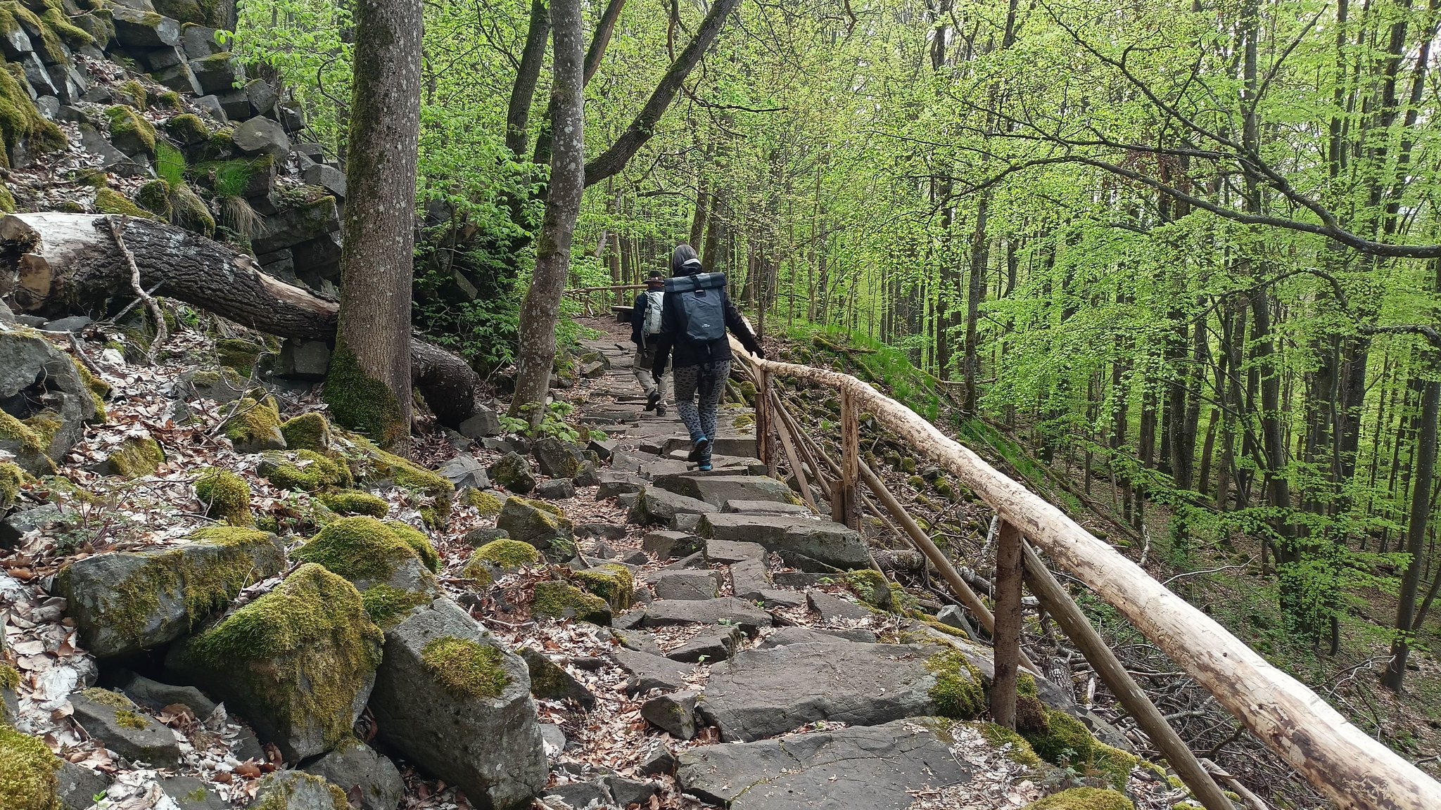 Der Naturlehrpfad am Gangolfsberg