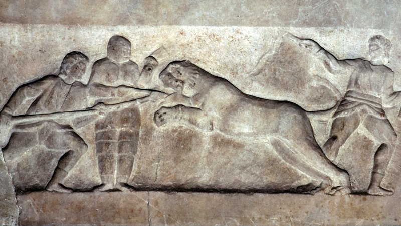 Löwe springt auf Gladiator zu, der eine Lanze in der Hand hält | Bild: CM Dixon/Picture Alliance Löwe springt auf Gladiator zu, der eine Lanze in der Hand hält