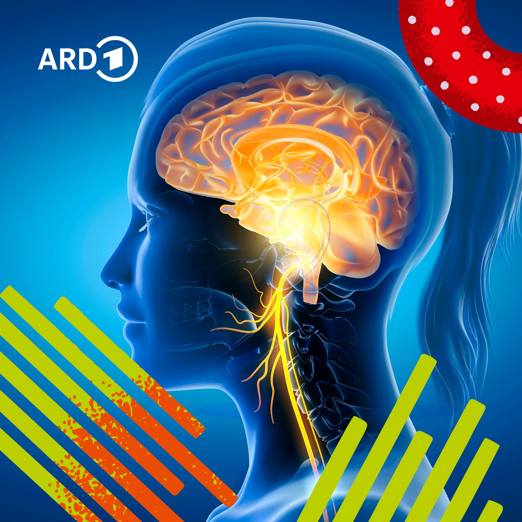 Hype um den Vagusnerv – Durch Stimulation zu mehr Gelassenheit? episode artwork