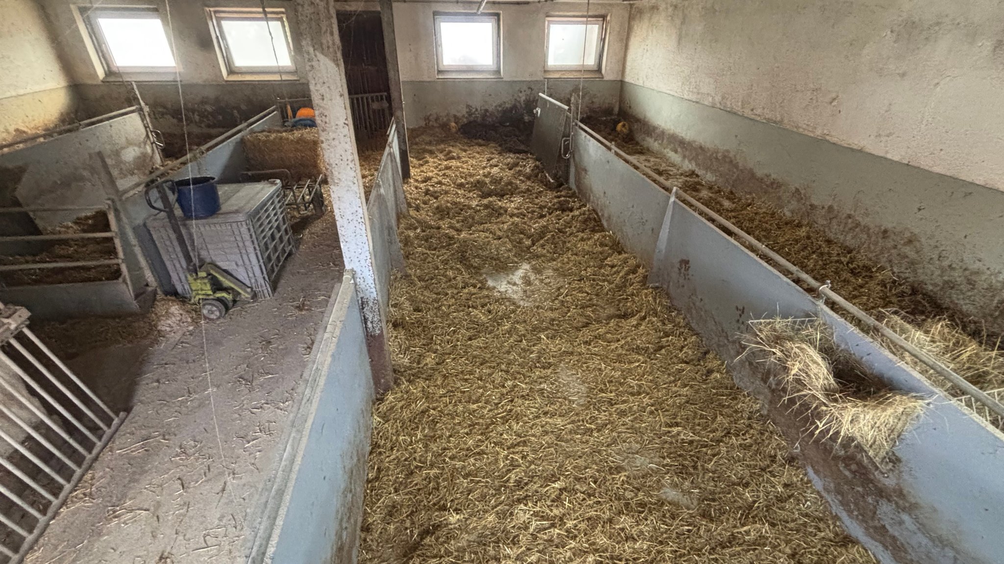 Das Stroh ist noch da, die Schweine sind fort. Blick in den verwaisten Stall in Viehdorf. Hier hat die Familie Heidingsfelder bis vor kurzem Strohschweine gehalten.