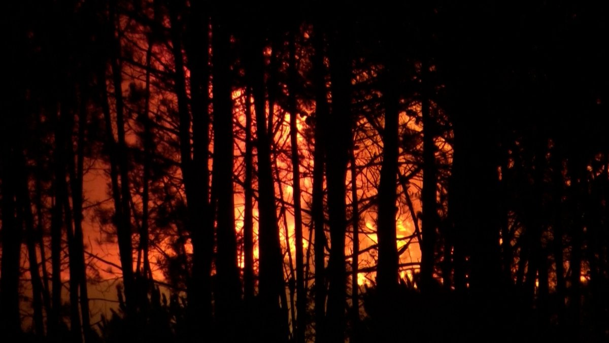 Waldbrände wüten in Portugal: Tausende Feuerwehrleute im Einsatz