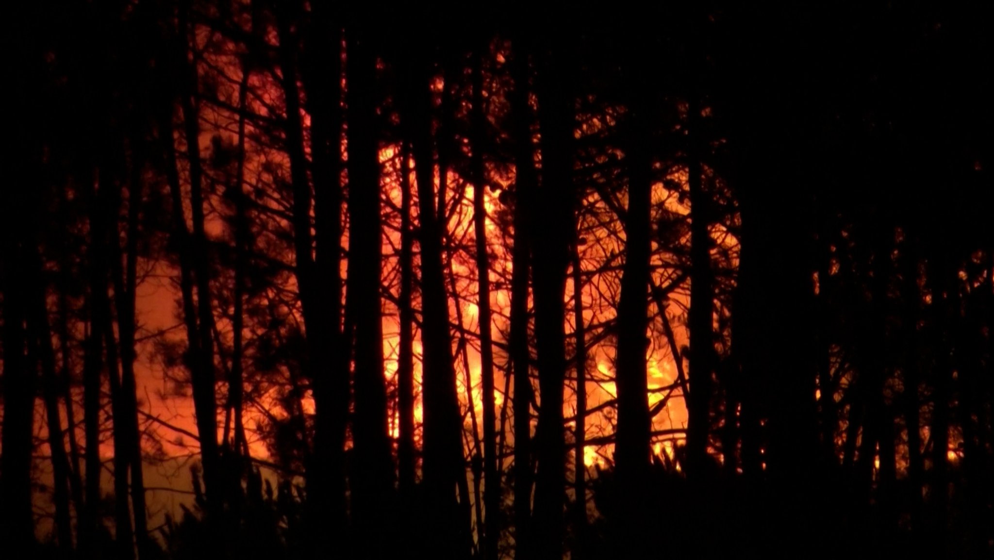 Waldbrände wüten in Portugal: Tausende Feuerwehrleute im Einsatz