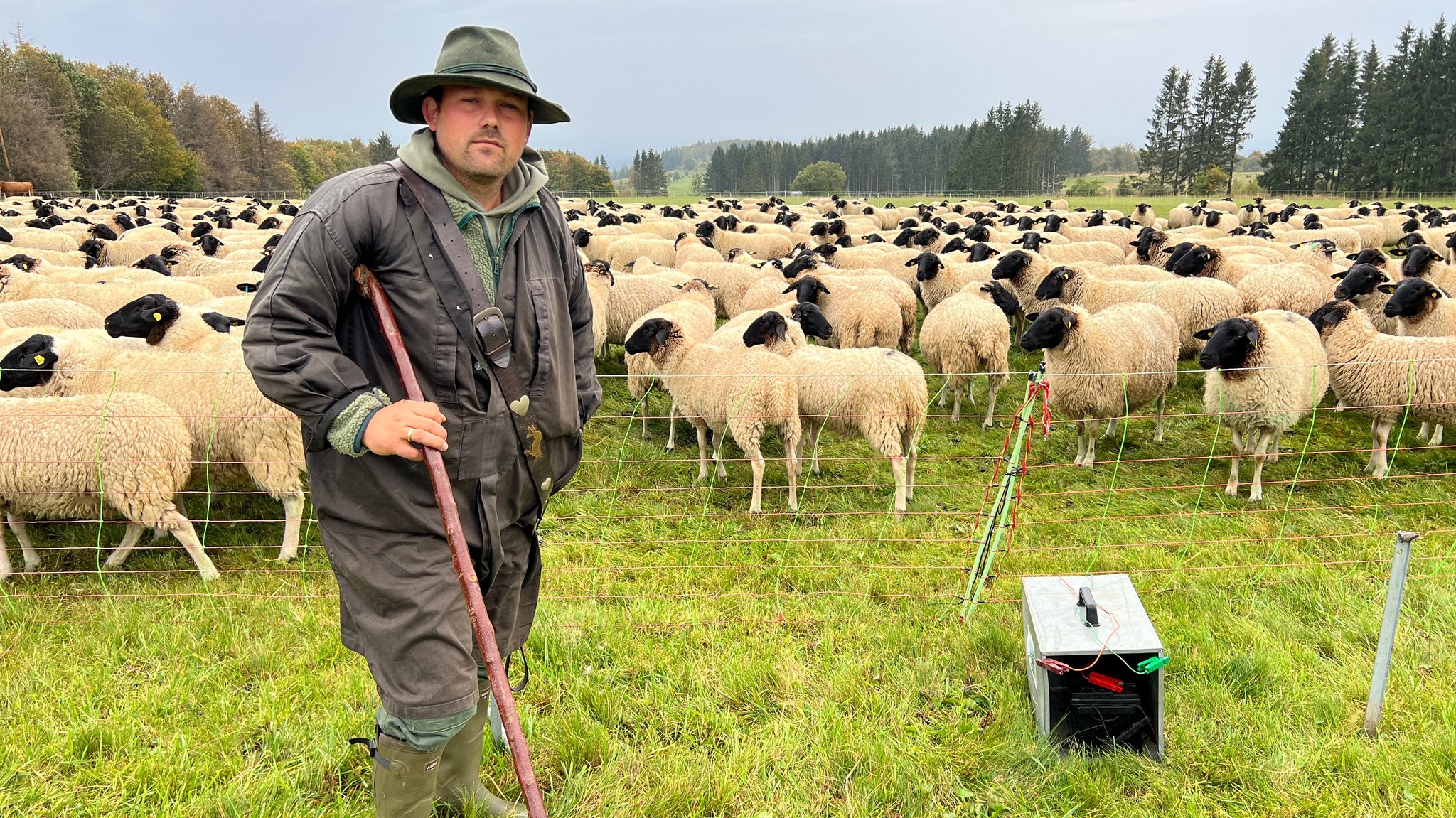 Rhön-Schäfer Julian Schulz mit seiner Herde